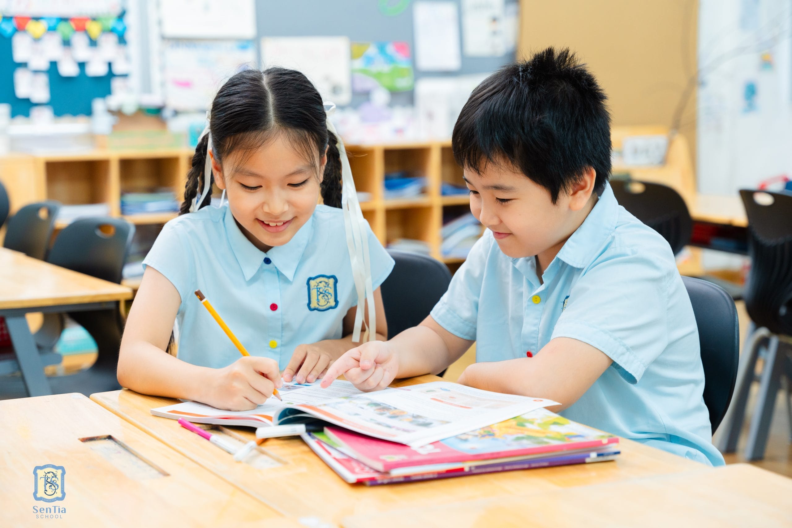 Vietnamese Academic Program
