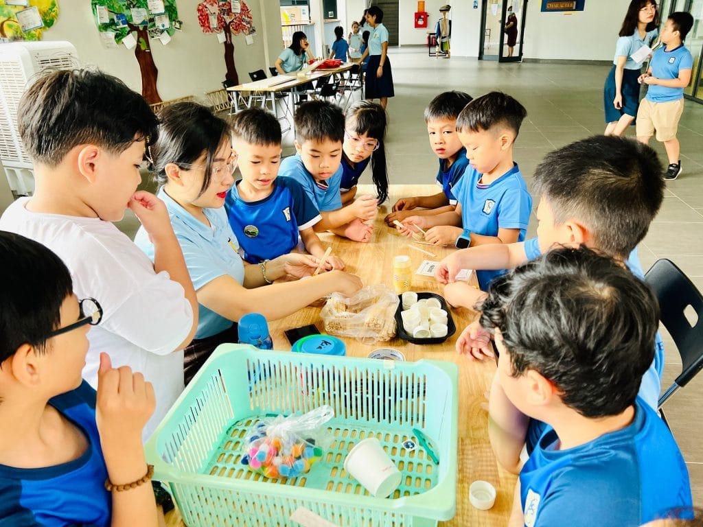 Lưu ý khi chọn trường tiểu học song ngữ quận Hoàng Mai