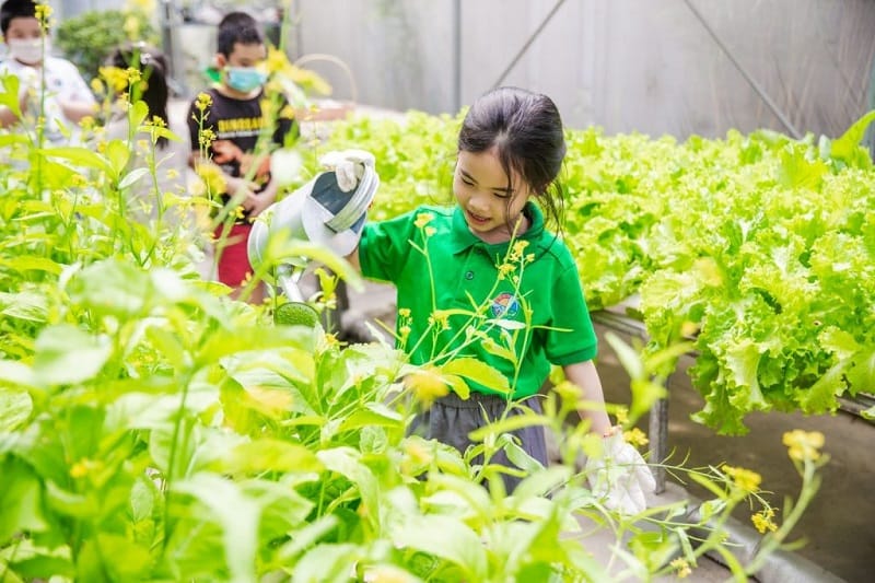 3 yếu tố cần có để tạo nên mô hình trường học xanh