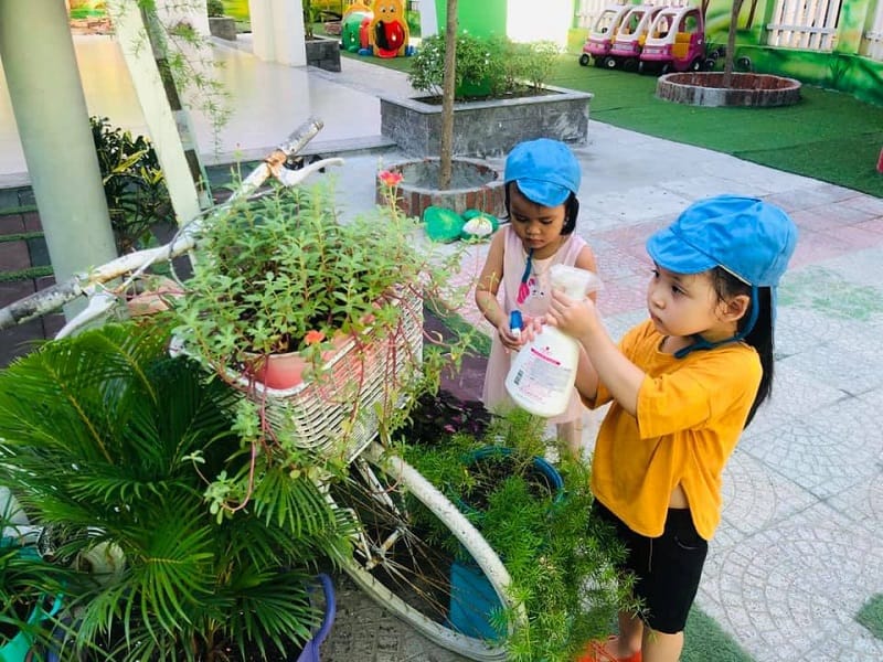 Trường học xanh là gì?