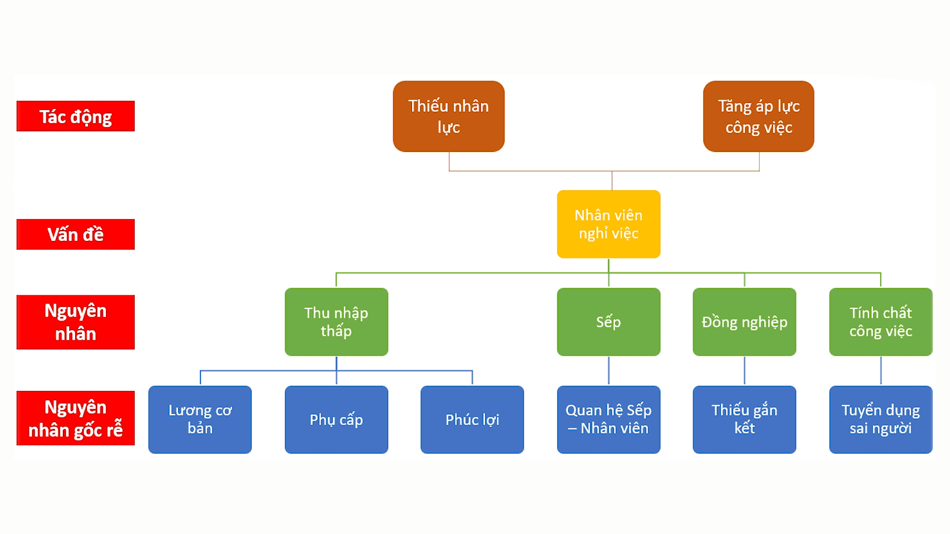Cây vấn đề cơ bản