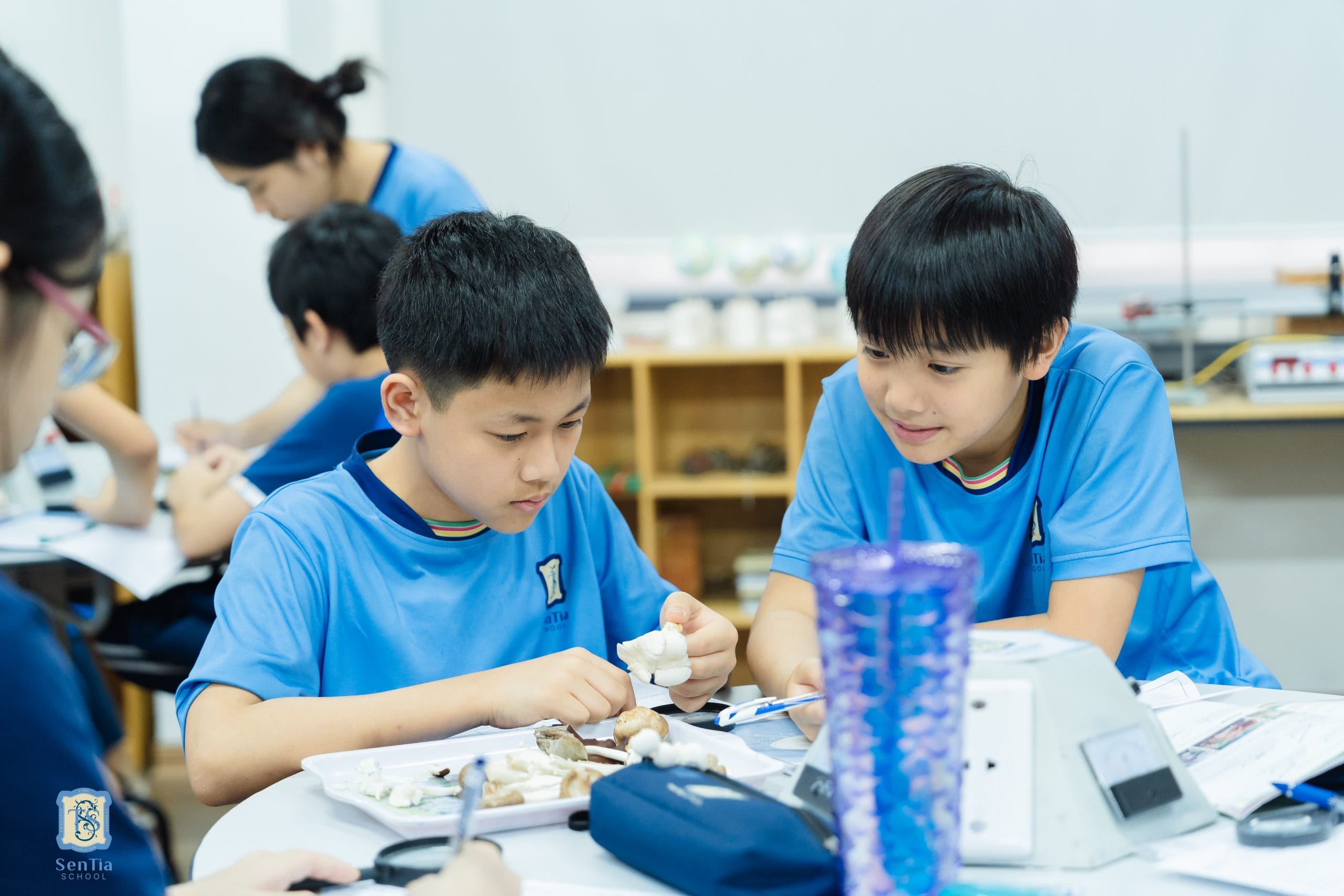 STEM tập trung nâng cao kỹ năng liên quan đến 4 yếu tố: khoa học, công nghệ, kỹ thuật, toán học.