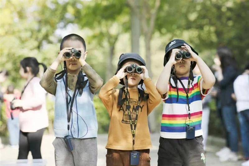 Tham quan là hoạt động trải nghiệm được triển khai hầu hết tại các trường tiểu học hiện nay