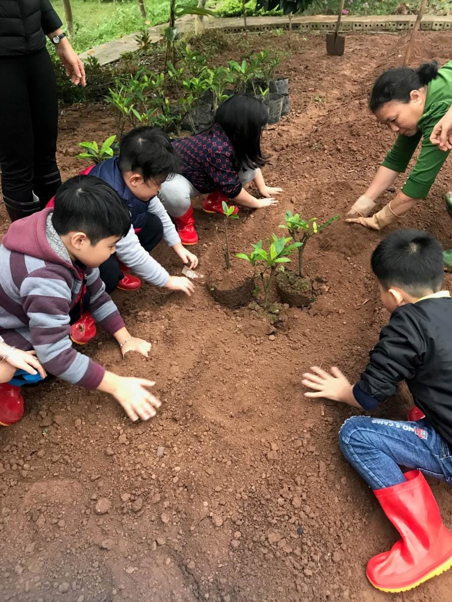 Dự án giúp trẻ rèn luyện kỹ năng quan sát, miêu tả, kiên nhẫn chăm sóc