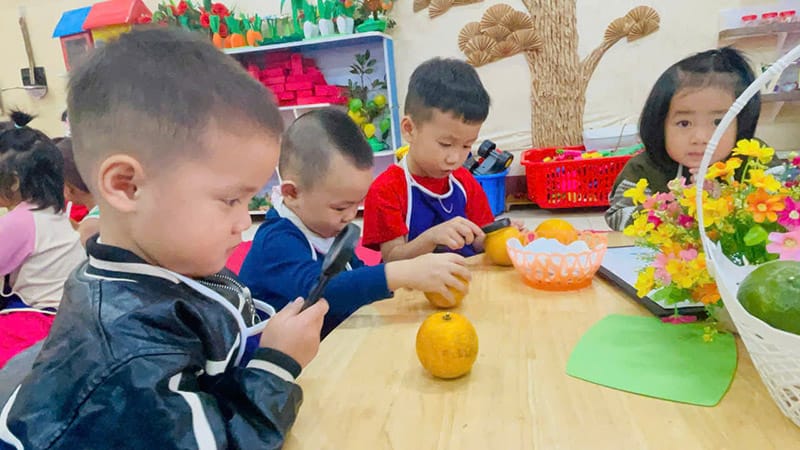 Bài học khám phá quả cam