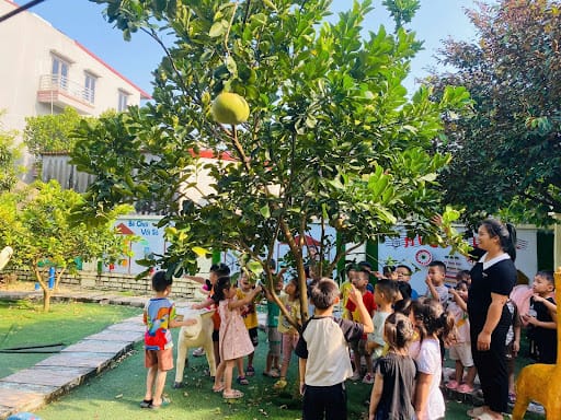 Hoạt động quan sát cây giúp trẻ rèn luyện khả năng chú ý chi tiết