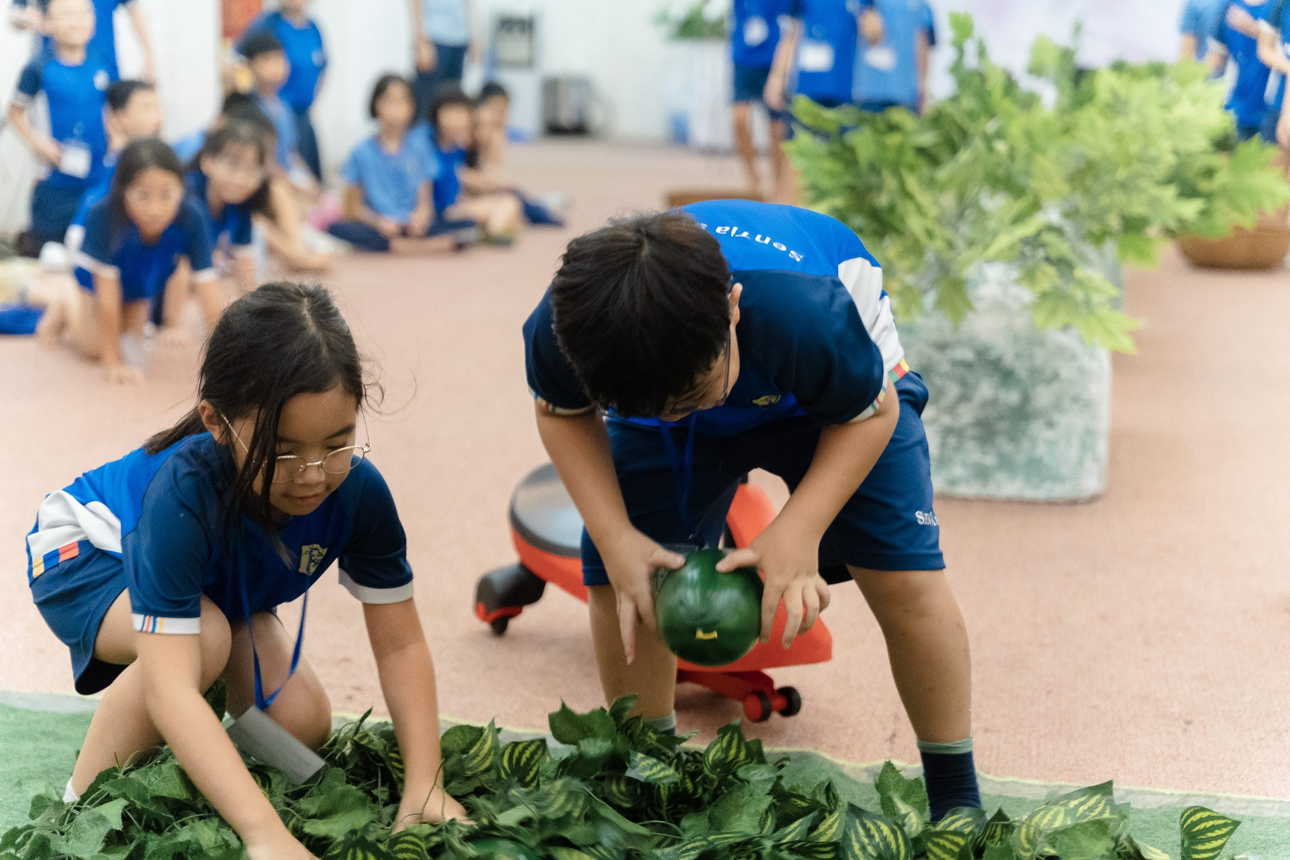Trồng cây và chăm sóc cây xanh là một trong những hoạt động trải nghiệm lớp 5 gần gũi