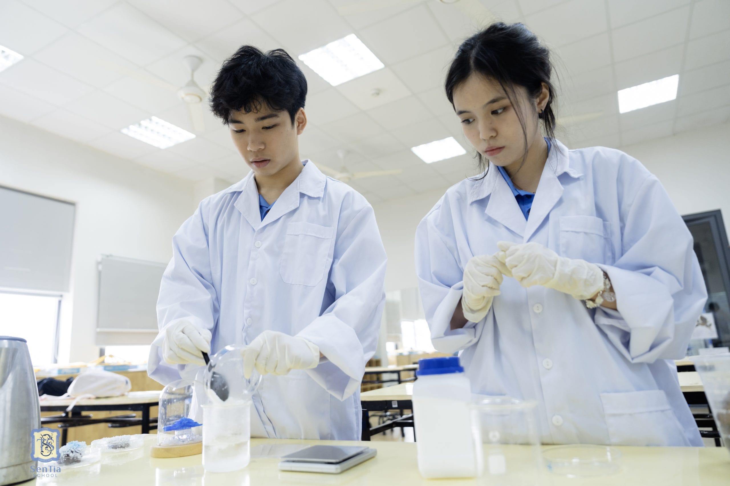 Tại SenTia School, chương trình Cambridge được triển khai bài bản