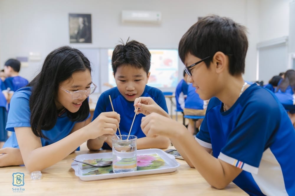 Chương trình học thuật Việt Nam